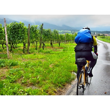 Canvas Print Vineyards Rain Cyclists Road Bike Backpack Stretched Canvas 10 x