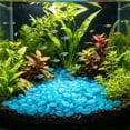 thumbnail image 5 of 200 Aquarium-shaped Street-side Pool Decorations Glowing Ice Cubes And Night Light Stones, 5 of 5