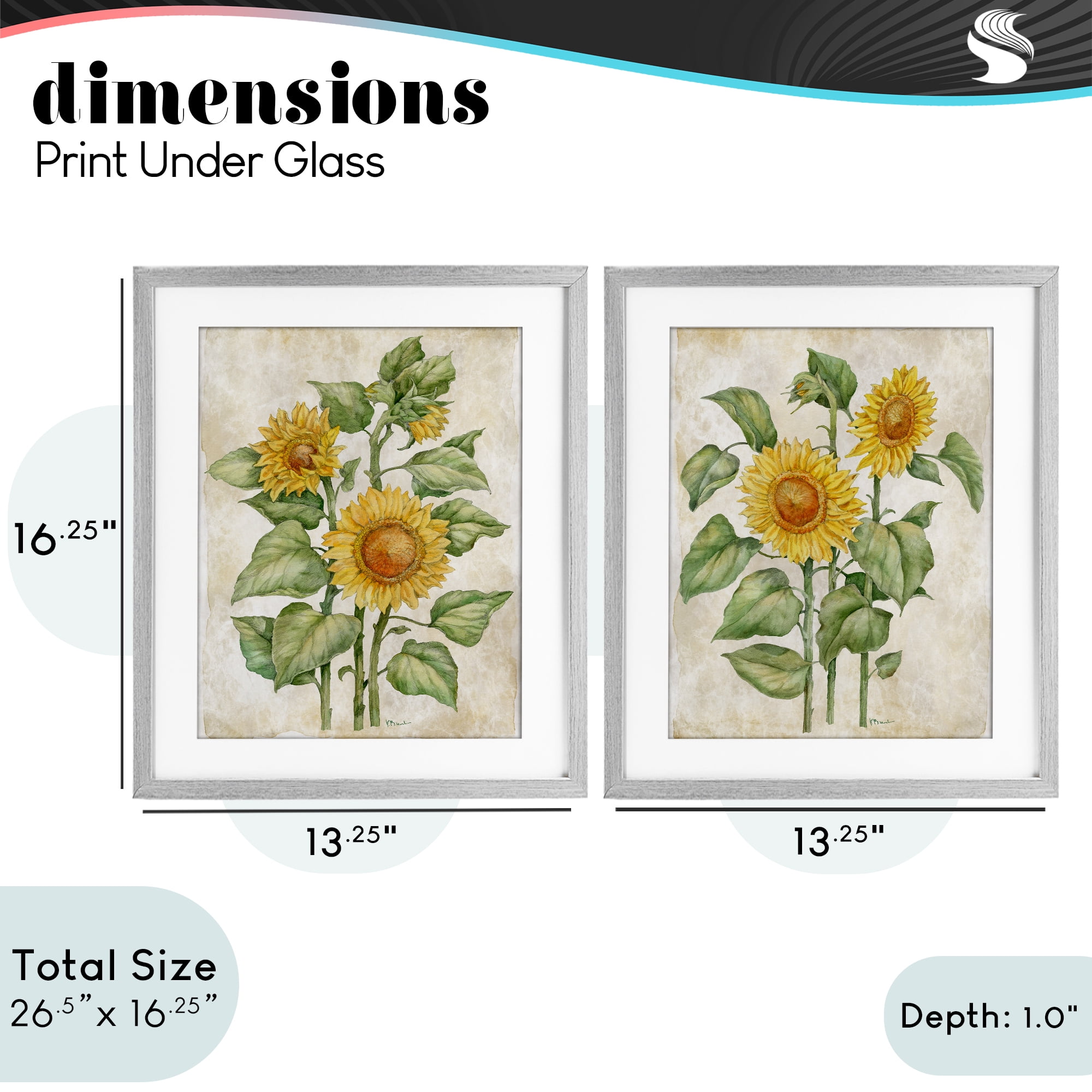 Stupell Industries Floral Journal Sunflower Studies 2 Piece Gray Framed Print Under Glass Set, design by Paul Brent