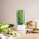 thumbnail image 3 of Protector Hierbas para Refrigerador Cápsula Protectora Hierbas Transparente para Espárragos Con Cilantro Y Perejil, 3 of 9