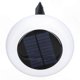 thumbnail image 3 of Colorful Solar Pathway Lights with Ground Stakes for Outdoor Garden and Lawn Decor, 3 of 5