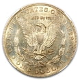 thumbnail image 3 of 1884-S Morgan Dollar AU-58 NGC, 3 of 3