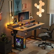 DESINO 63 x 30 Inch Height Adjustable Electric Standing Desk with Drawers, Stand Up Table with Large Storage Shelf, Sit Stand Desk for Home Office, Rustic Brown