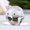 Pink, variant on Multi-Color Home&Office Art&Collection Crystal Home Decoration Souvenir Gifts Table Ornaments Little Pig Figurines Paperweight Crafts Crystal Miniature YELLOW