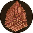 thumbnail image 1 of Ahgly Company Machine Washable Indoor Round Transitional Mahogany Brown Area Rugs, 6' Round, 1 of 7
