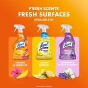 Lysol Brand New Day All Purpose Cleaner Mango & Hibiscus, Deep Clean 32 fl oz