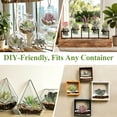thumbnail image 5 of Yalumo Fake Succulents Assortment, 19 Pcs Unpotted Mini Artificial Succulent Plants with Flocked Texture, Realistic Faux Succulents for DIY Crafting, Home, Garden, Office & Party Decor, 5 of 7