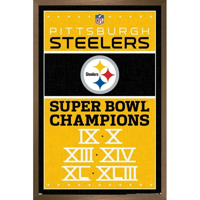 NFL Pittsburgh Steelers - Champions 13