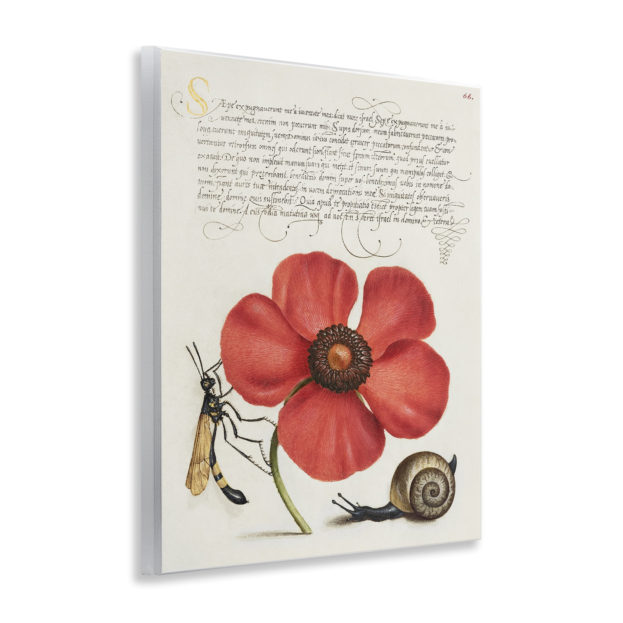 Stupell Industries Vintage Insects on Flower Text & Numbers Painting Unframed Art Print Wall Art, 11 x 14