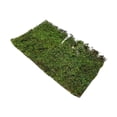 thumbnail image 2 of TISHITA Grass Tufts Model DIY Simulation Grass Cluster DIY Scenery Landscape Railway L L, 2 of 8