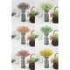 thumbnail image 2 of Injueey 6 tallos de eucalipto artificiales blancos para Decoración de inspiración natural, 2 of 6