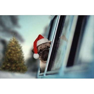 Nobleworks Pug Looking Out Car Window Cute Dog Christmas Card (1 card/1 envelope)