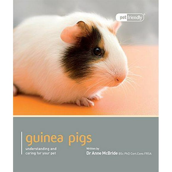 Guinea Pig: Understanding and Caring for Your Pet