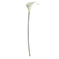 thumbnail image 4 of Naiovety Flores artificiales elegantes de Calla simuladas para la decoración del hogar y estambre amarillo alto blanco estambre amarillo blanco 10Conjunto, 4 of 6