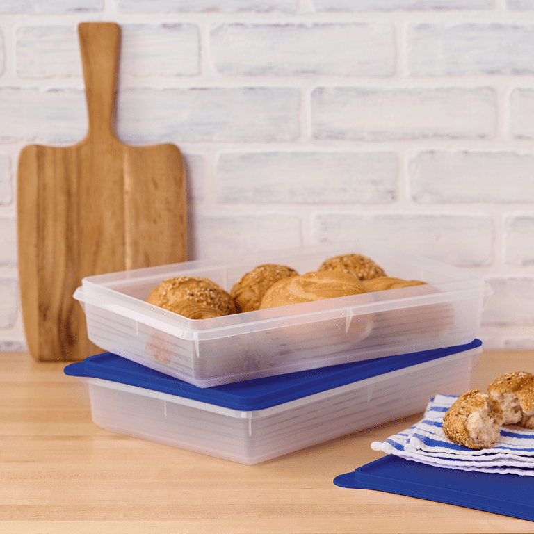 Tupperware Snack-Store Plastic Large Food Storage Container with