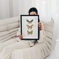 thumbnail image 5 of Butterflies IV - Drawing Botanical Nature Vintage Floral Illustration Black Framed Wall Art Print 6 x 8 inches, 5 of 7