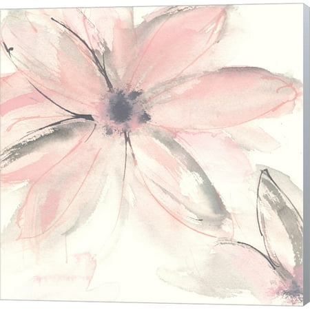 Blush Clematis II by Chris Paschke, Canvas Wall Art