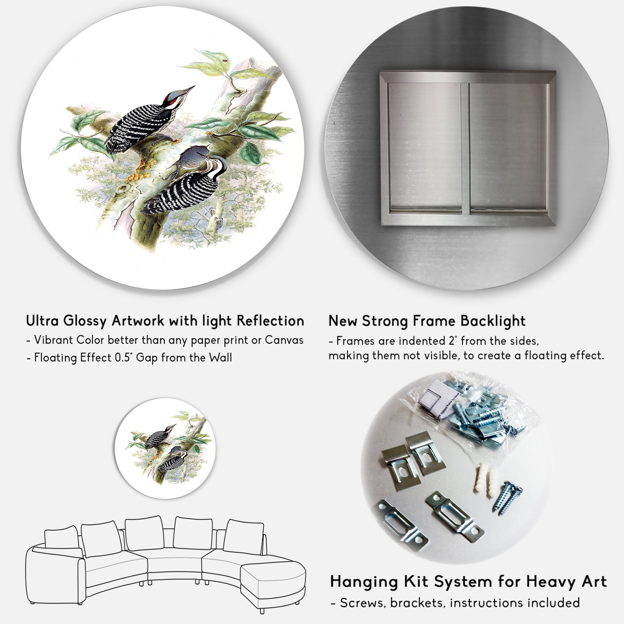Designart 'Ancient Birds In The Wild V' Traditional Circle Metal Wall Art 23x23 - Disc of 23