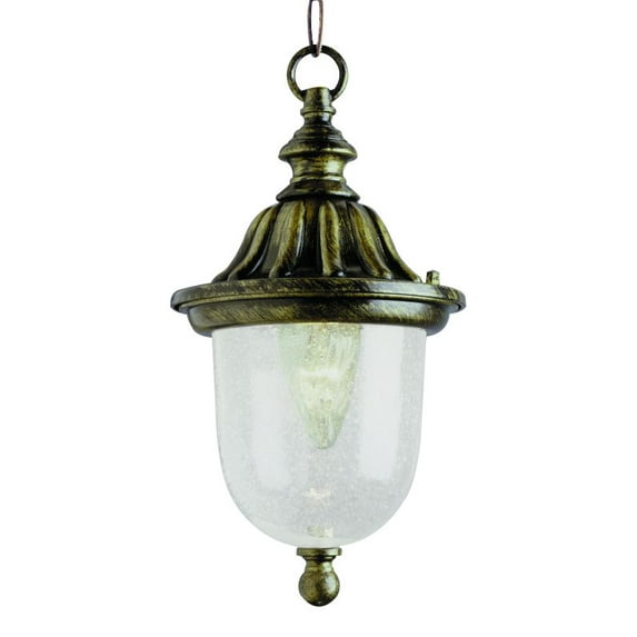 Trans Globe Lighting 4185 Single Light Down Lighting Outdoor Pendant from the Ou