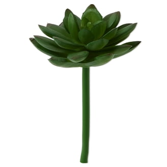 Mainstays Artificial Succulent Pick 3.5 inch x 5.5 inch Green Echeveria