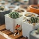 thumbnail image 3 of Miniature Boxing Figures Model for Decor Realistic Figurines, 3 of 5