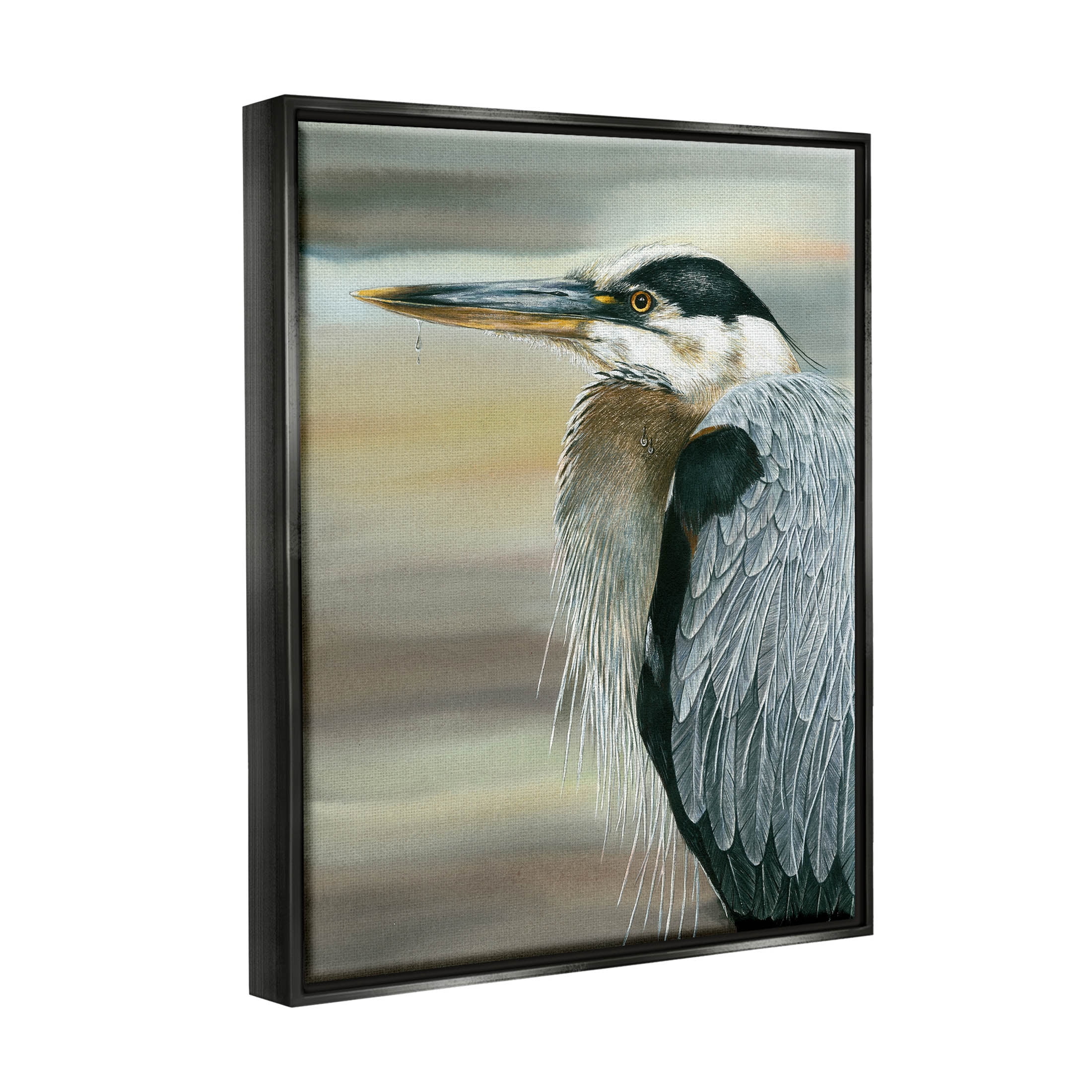 Heron Bird Feather Portrait Animals & Insects Graphic Art Jet Black Framed Art Print Wall Art