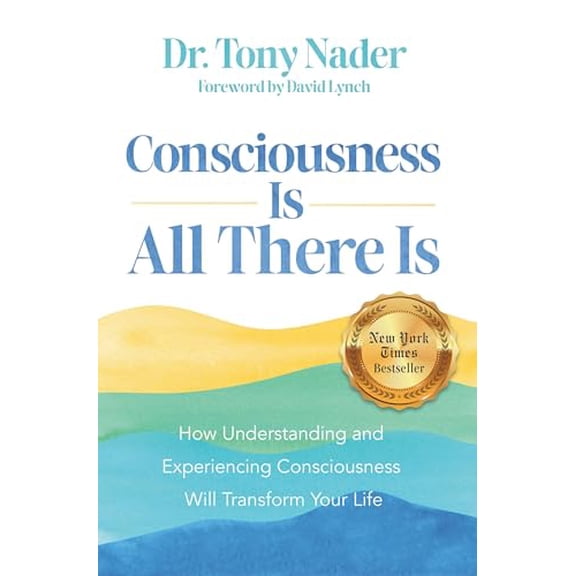 Pre-Owned Consciousness Is All There Is: How Understanding and Experiencing Consciousness Will Transform Your Life (Paperback) 1401976506 9781401976507