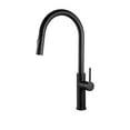 thumbnail image 1 of The akuaplus® ABA pull down Kitchen Faucet, 1 of 7