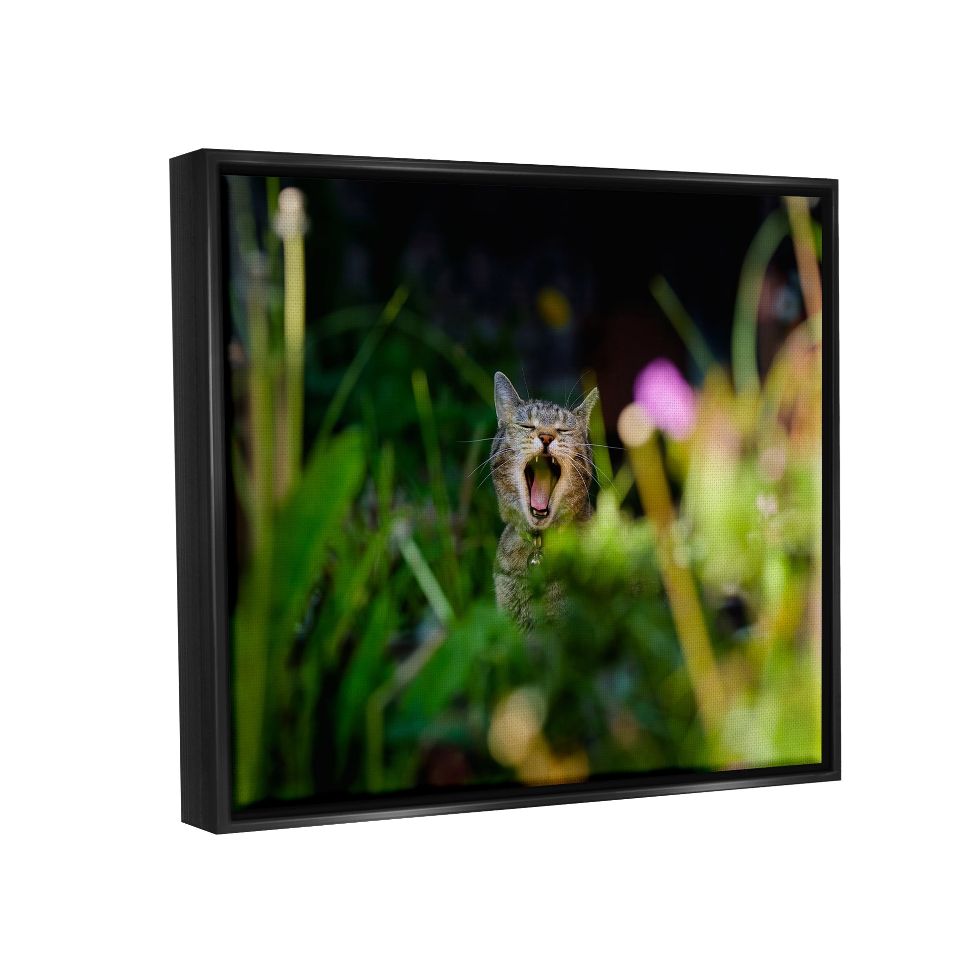 Stupell Industries Yawning Cat in Grass Animals & Insects Photography Black Floater Framed Canvas Art Print Wall Art, 21 x 17