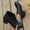 Black, variant on Women Classic Round Toe Ankle Booties, Side Zipper Metal Button Decor Low Block Heel Short Boots, Soft Faux Leather Comfort Shoes Blue 5.5(36)