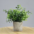 thumbnail image 2 of Artificial Plant Potted Realistic Fake Eucalyptus Plant Faux Plant Decoration, 2 of 10