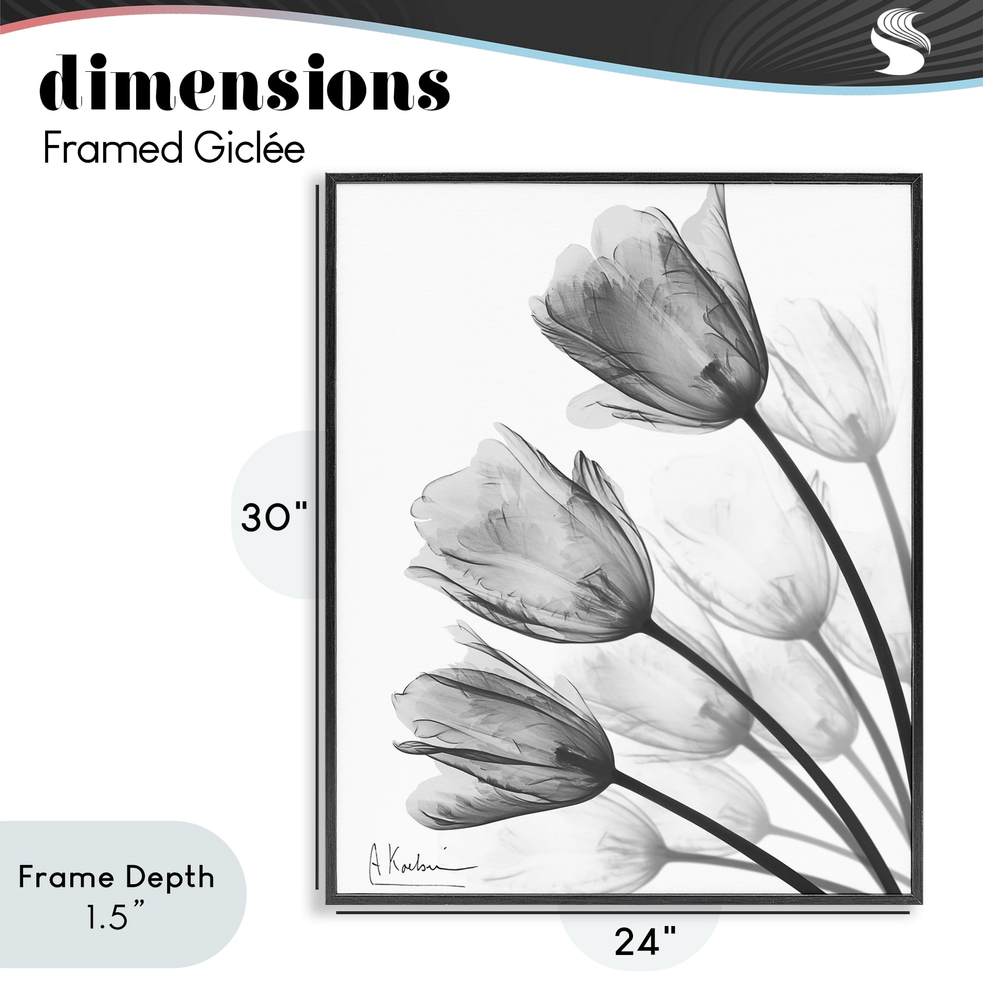 Stupell Industries Minimalist Tulip Fan Black Framed Giclee Art, design by Albert Koetsier