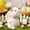 C, variant on Easter Bunny Resin Figurines - 5-Pack Cute Rabbit Decor with Carrots & Flowers, Spring Tabletop Ornaments for Home, Party & Easter Decorations