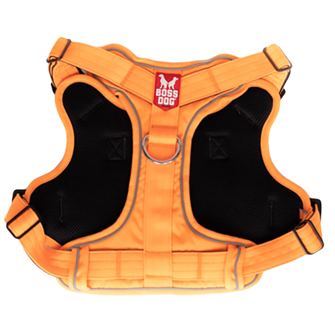 Boss Dog ProSeries Dog Harness No Pull Padded Reflective Durable  Hunter Orange, XL