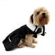 thumbnail image 1 of Disfraz Merlina Perro Halloween Talla 6 Mascota Pet Pals, 1 of 3