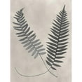 thumbnail image 3 of Vision Studio 19x24 Black Modern Framed Museum Art Print Titled - Vintage Fern Study III, 3 of 5