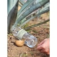 thumbnail image 4 of Mezcal Artesanal Sierpe Negra Premium Espadín 45% Alc. Vol., 4 of 6