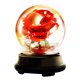 thumbnail image 1 of Luz De Rosa De Terciopelo Exquisita Flor De Rosa Luz De Pantalla De Vidrio Simulada Rosas Románticas Adorno De Iluminación Con Cadena De Luz Led Pantalla De Vidrio Para Festival Speravity HA018427-00, 1 of 6
