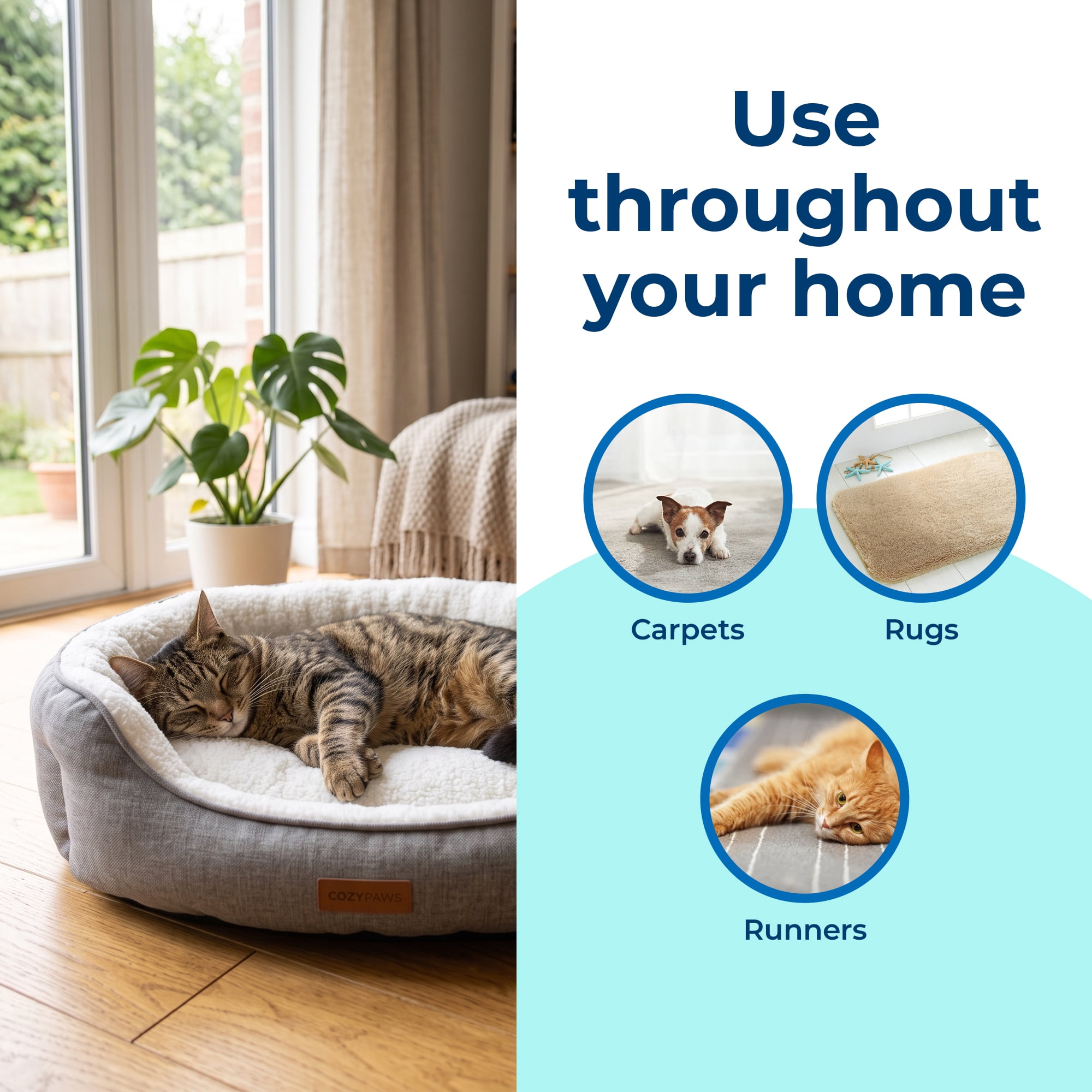 (2 pack) Carbona 2-in-1 Oxy-Powered Pet Carpet Cleaner & Odor Remover, Dual Brush Sponge, 22 Fl Oz