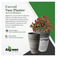 thumbnail image 4 of Acerra Composite Vase Planter with Drainage Hole, Decorative Texture, Removable Plug for Lawn and Garden, Marble, 4 of 9