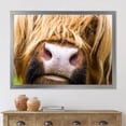 thumbnail image 3 of Designart 'Close-Up Highland Cattle' Farmhouse Framed Art Print, 3 of 4