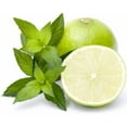 thumbnail image 4 of Lime Essential Oil 5 ml (1/6 fl oz) - 100% Pure and Natural by Silky Scents, 4 of 6