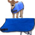 thumbnail image 7 of Jeffers Livestock Water Resistant Insulated Calf Blanket 26" – 200G Polyfill Quilted Winter Calf Jacket with Adjustable Straps – Durable Cold Weather Calf Cover – Farm Supplies, Blue 1 Pack, 7 of 7
