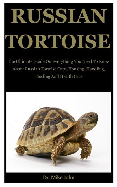 russian tortoise care guide