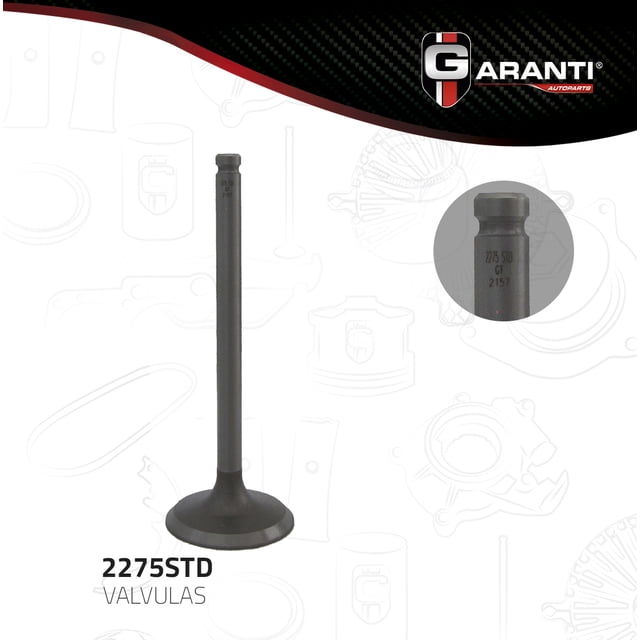 Valvula Escape Garanti Para Pontiac Optima 1988 - 1990 (Garanti)