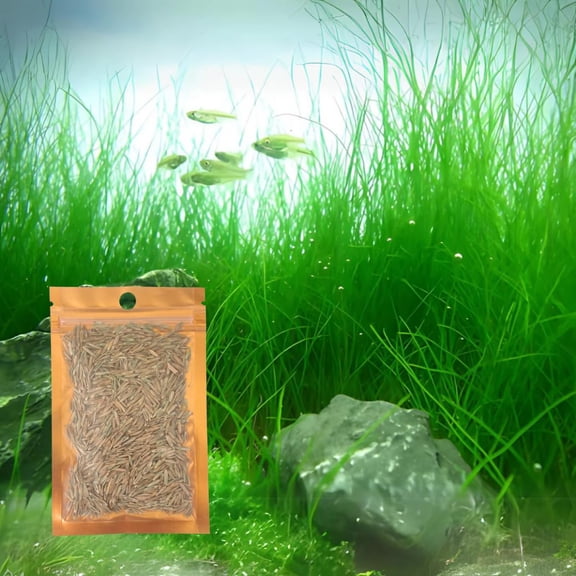 Freshwater Aquarium Dwarf Carpet Plant (Long Hair), Aquatic Ground Cover for Fish Tanks & Terrariums, Natural Plant Material, 1 Pack
