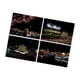 thumbnail image 4 of Juego de 4 Piezas de Papel para Rascar Strade Fareast Limited Arte Manualidades Creativo Bloc de Dibujo Tarjeta para Rascar Pintura para Rascar, 4 of 8