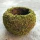 thumbnail image 2 of Bola de musgo de estilo japonés, maceta de jardinería con planta en maceta, maceta de musgo, 2 of 5