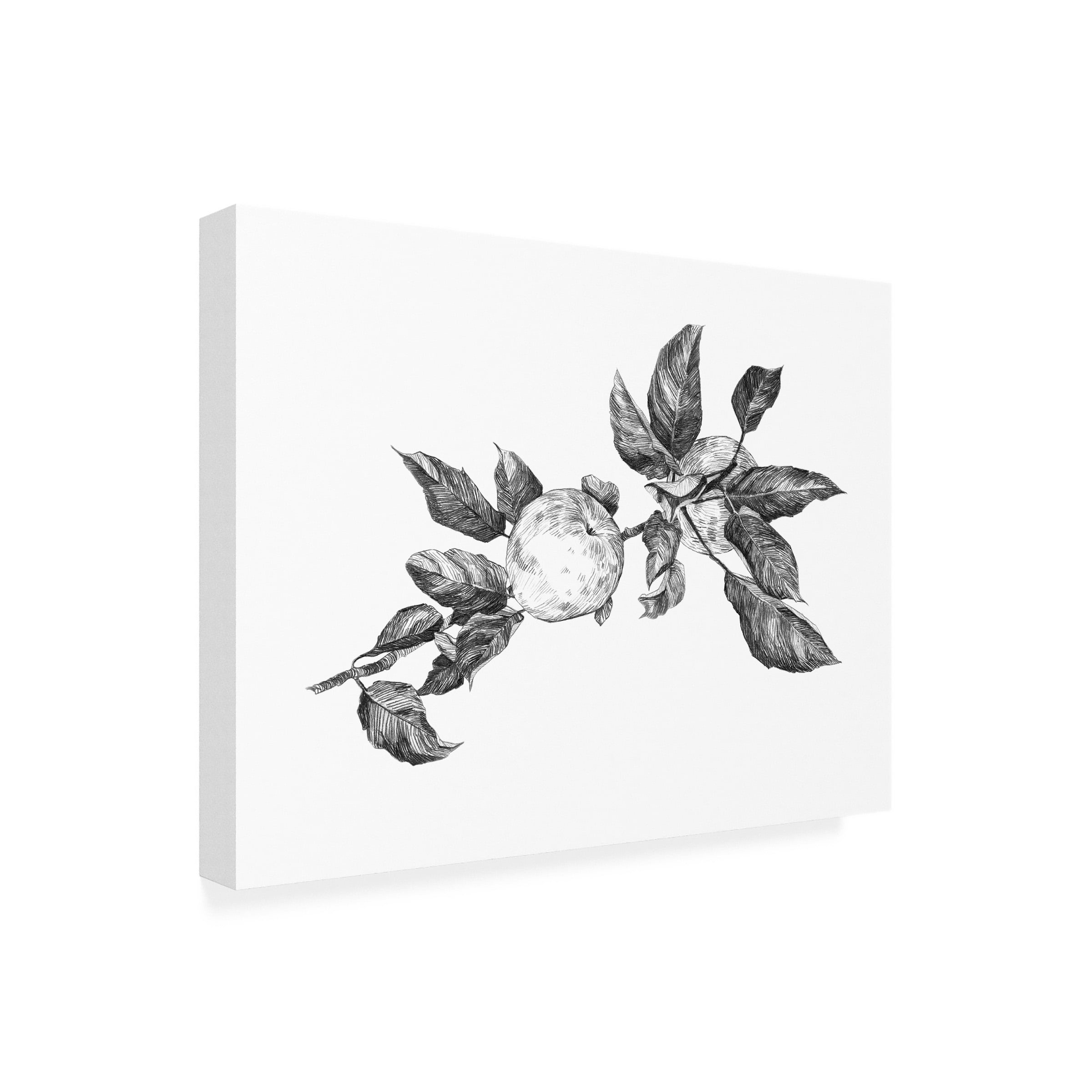 Emma Scarvey 'Apple Etching II' Canvas Art