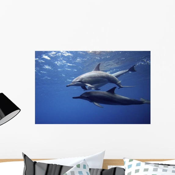 Dolphins Wall Mural by Wallmonkeys Peel and Stick Graphic (24 in W x 15 in H) WM245664